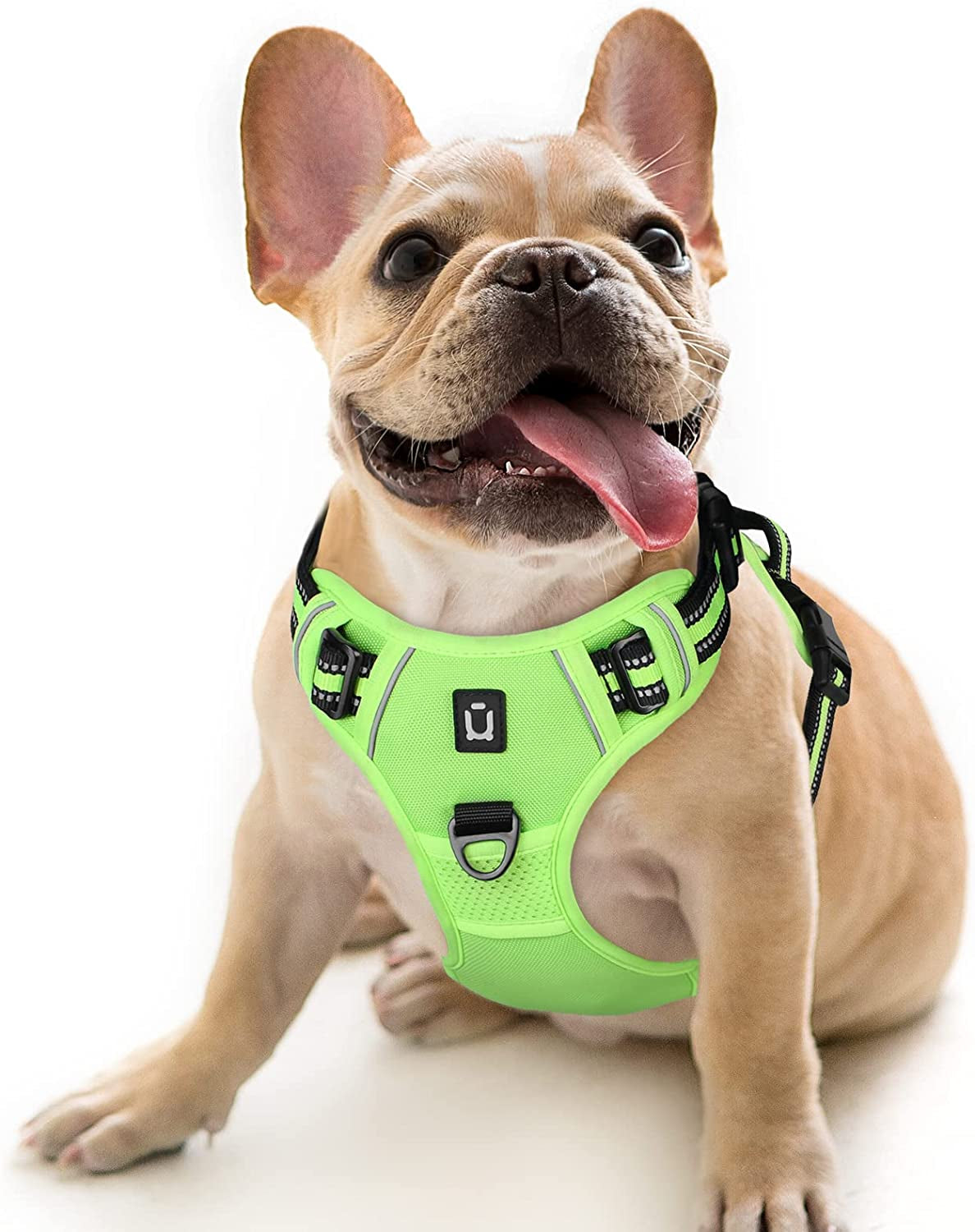 Waldseemuller No-Pull Dog Harness for Large Dogs - Easy Walk Harness with 4 Buckles for Medium to Extra Large Dogs and Puppy Training